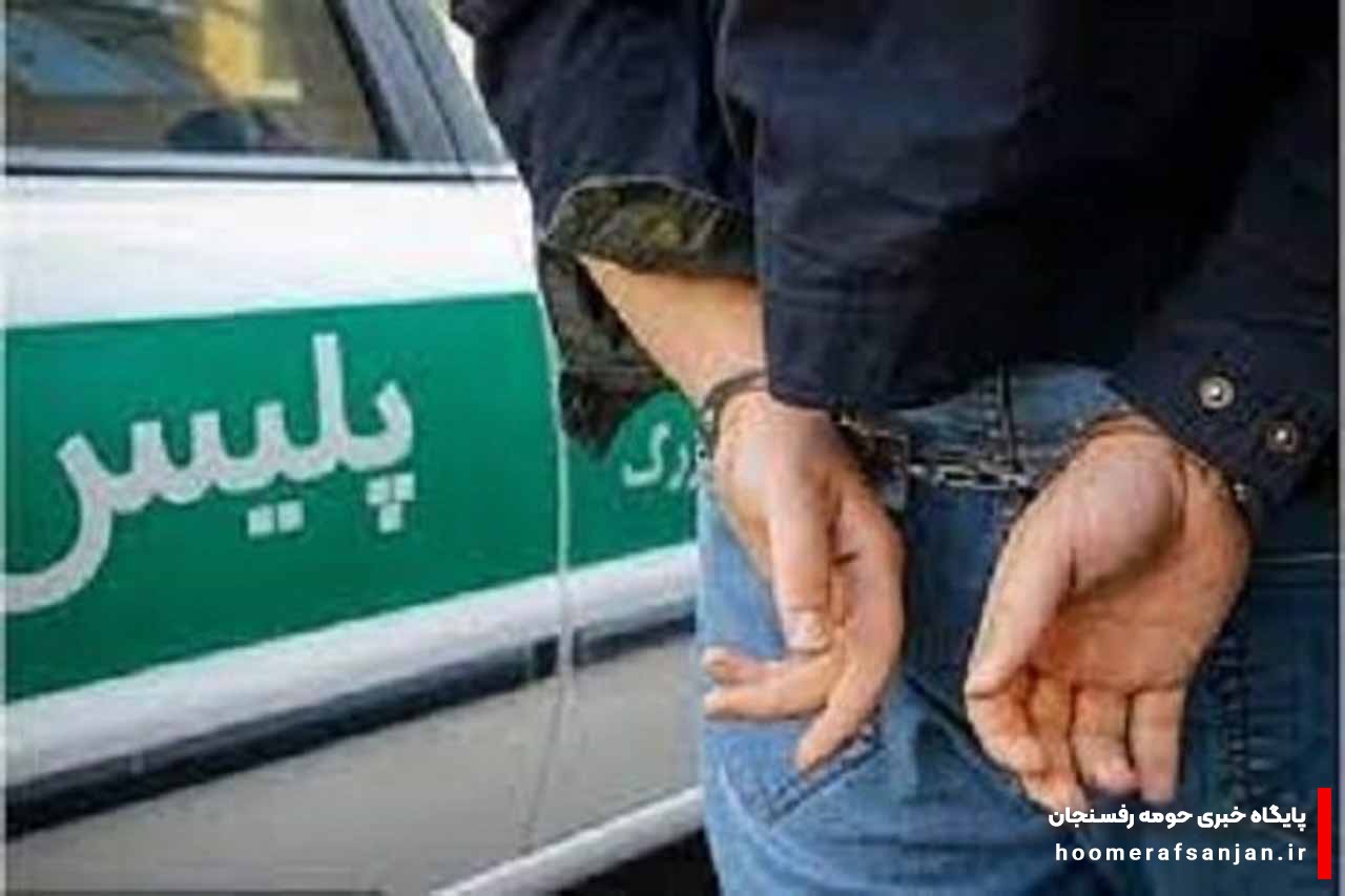 ۱۲ نفر از اتباع بیگانه غیرمجاز در رفسنجان دستگیر شدند