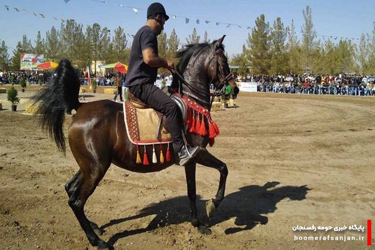 رفسنجان در فروردین‌ماه میزبان همایش کشوری شو اسب سواره می‌شود